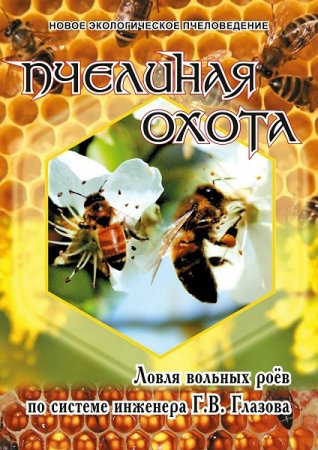 Пчелиная охота по системе инженера Г.В. Глазова