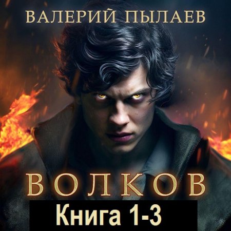 Валерий Пылаев - Волков. Книга 1-3 (Боевая фантастика, Попаданцы, Аудиокнига)