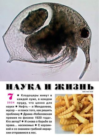 Наука и жизнь №7 (июль 2024)